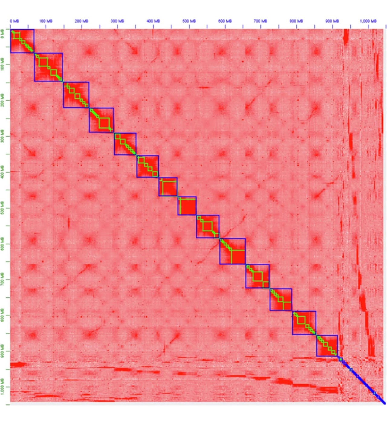 Genome assembly